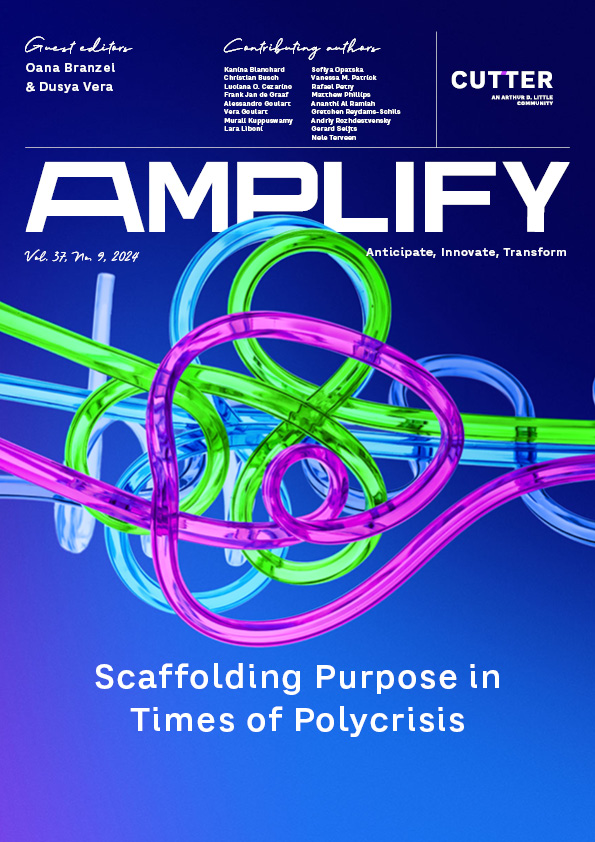 Amplify vol 9 2024 cover 