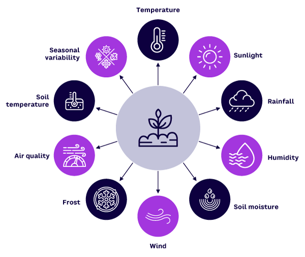 Figure 2. Factors that affect crop cultivation and yield