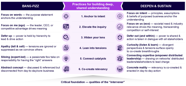 Figure 1. The “bang-fizz” to “deepen & sustain” model (source: The Purpose-in-Practice Community)