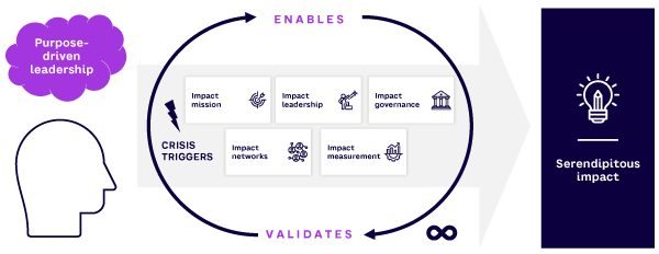 Figure 2. Serendipitous Impact Framework