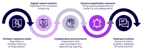 Figure 1. A framework to grow digital skills and leverage collaborative networks