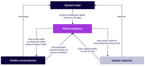 Figure 3. Self-regulating consumption and supply through price signals