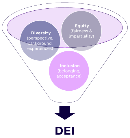 Figure 1. The DEI funnel