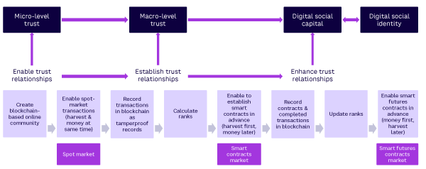 Figure 2. The process of trust and social capital development in DTTM