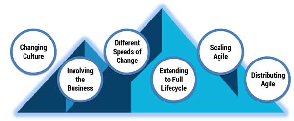 Figure 1 — The hills of Agile transformation. (Source: Fillié and Boer.)