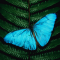 Harnessing AI Butterfly Effect for Sustainability: Digital Boost or Recipe for Disaster?