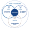 Figure 1 — The three lenses of organizational behavior.